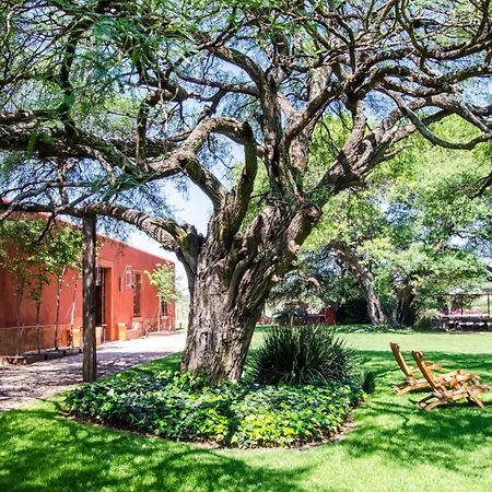 Puerta Del Lobo Villa Queretaro Bilik gambar