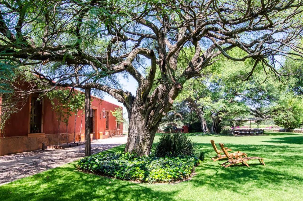 Puerta Del Lobo Villa Queretaro Bilik gambar
